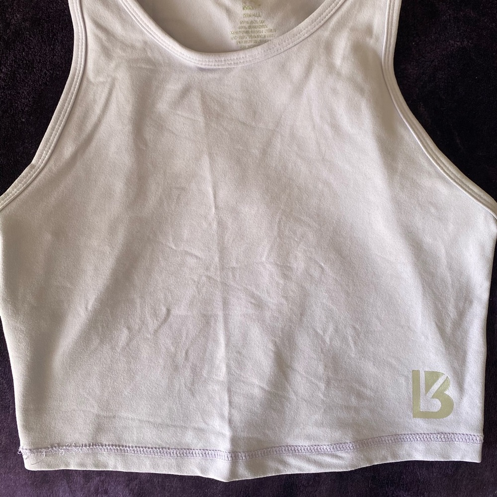 Buffbunny Aurora Crop Top